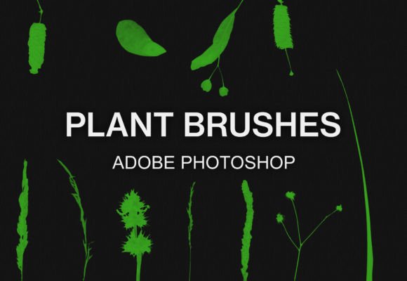 Download Photoshop Plant Brushes Silhouette Brush - Plant brushes Collection